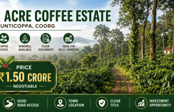 1-acre coffee estate property located in Sunticoppa town, Coorg
