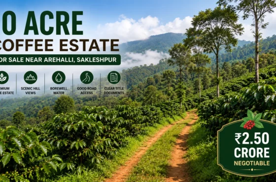 10 Acre Coffee Estate for Sale near Arehalli, Sakleshpur