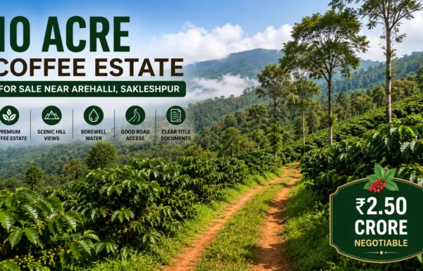 10 Acre Coffee Estate for Sale near Arehalli, Sakleshpur