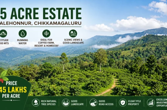 15 Acre Estate for Sale in Balehonnur, Chikkamagaluru