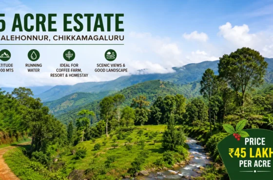 5 Acre Coffee Estate for Sale in Balehonnur, Chikkamagaluru | Resort & Homestay Land