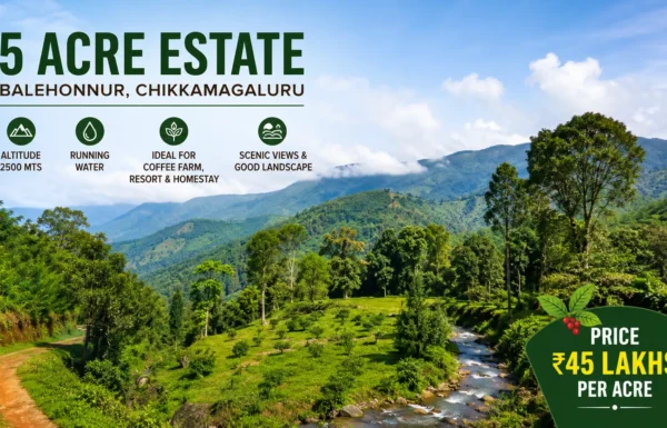 5 Acre Coffee Estate for Sale in Balehonnur, Chikkamagaluru