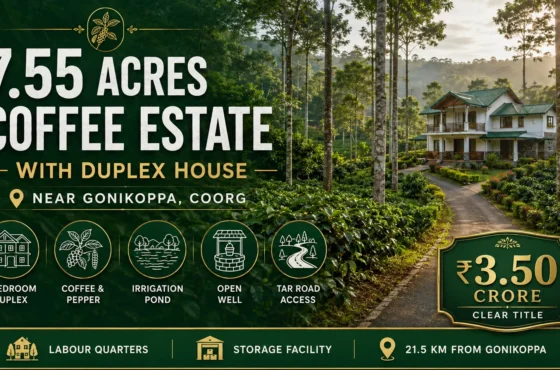 7.55 Acres Coffee Estate with Duplex House for Sale near Gonikoppa, Coorg