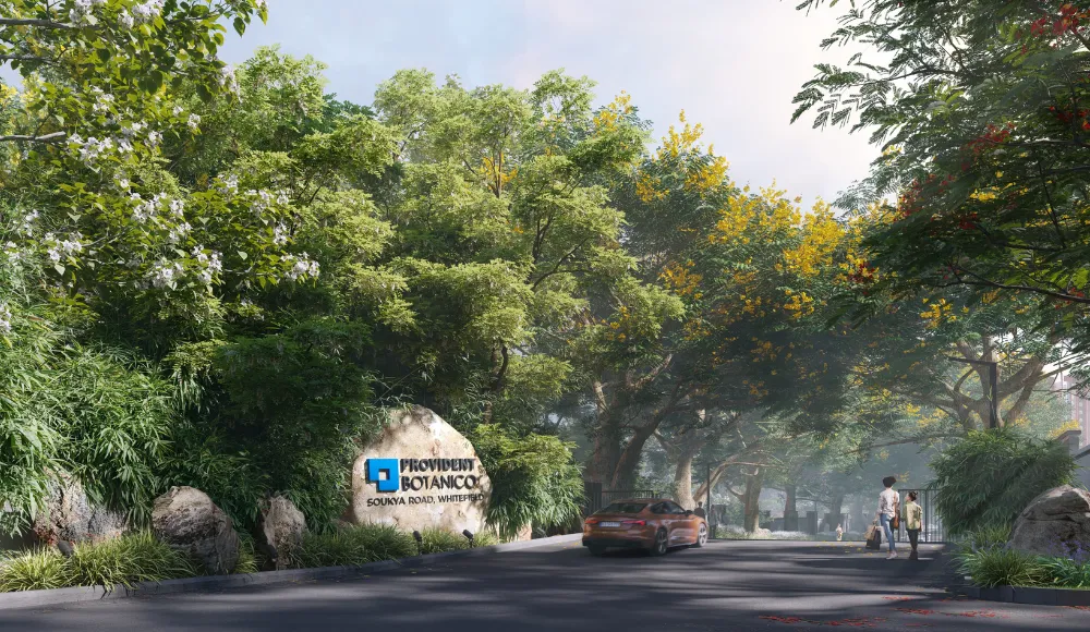 Provident Botanico 12