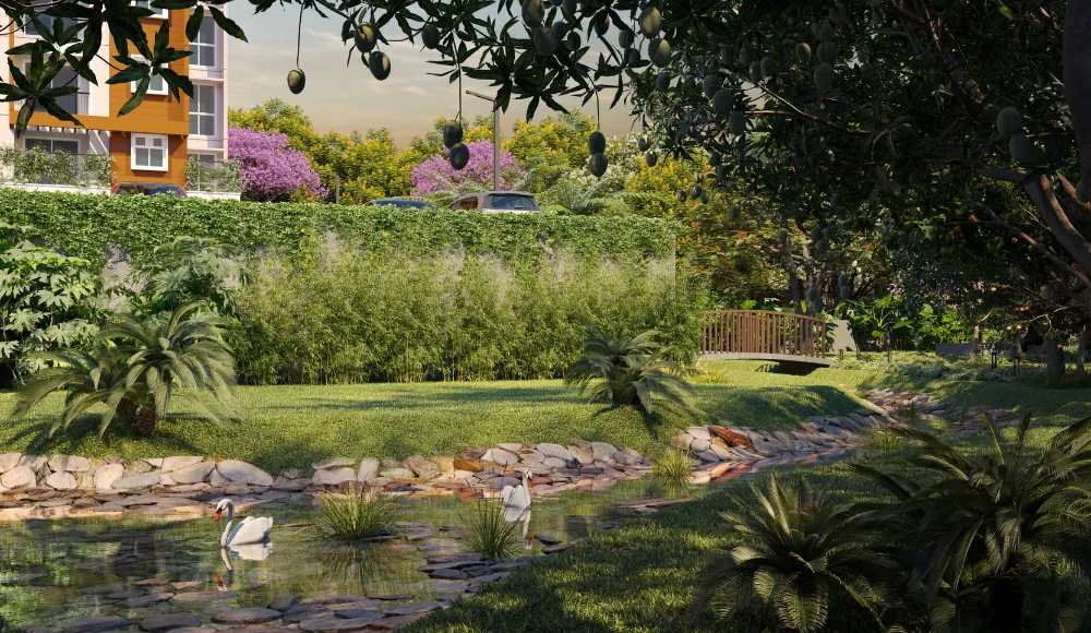 Provident Botanico 5