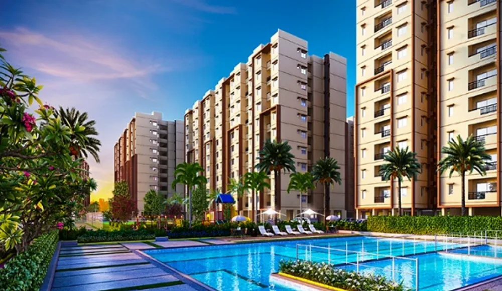 Provident-3