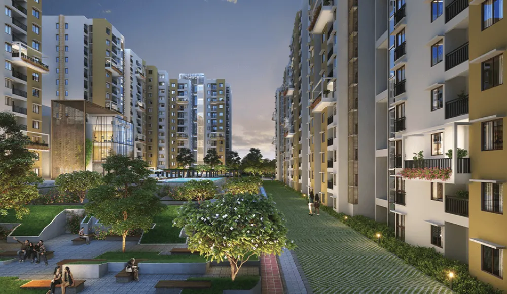 Purva Zenium2
